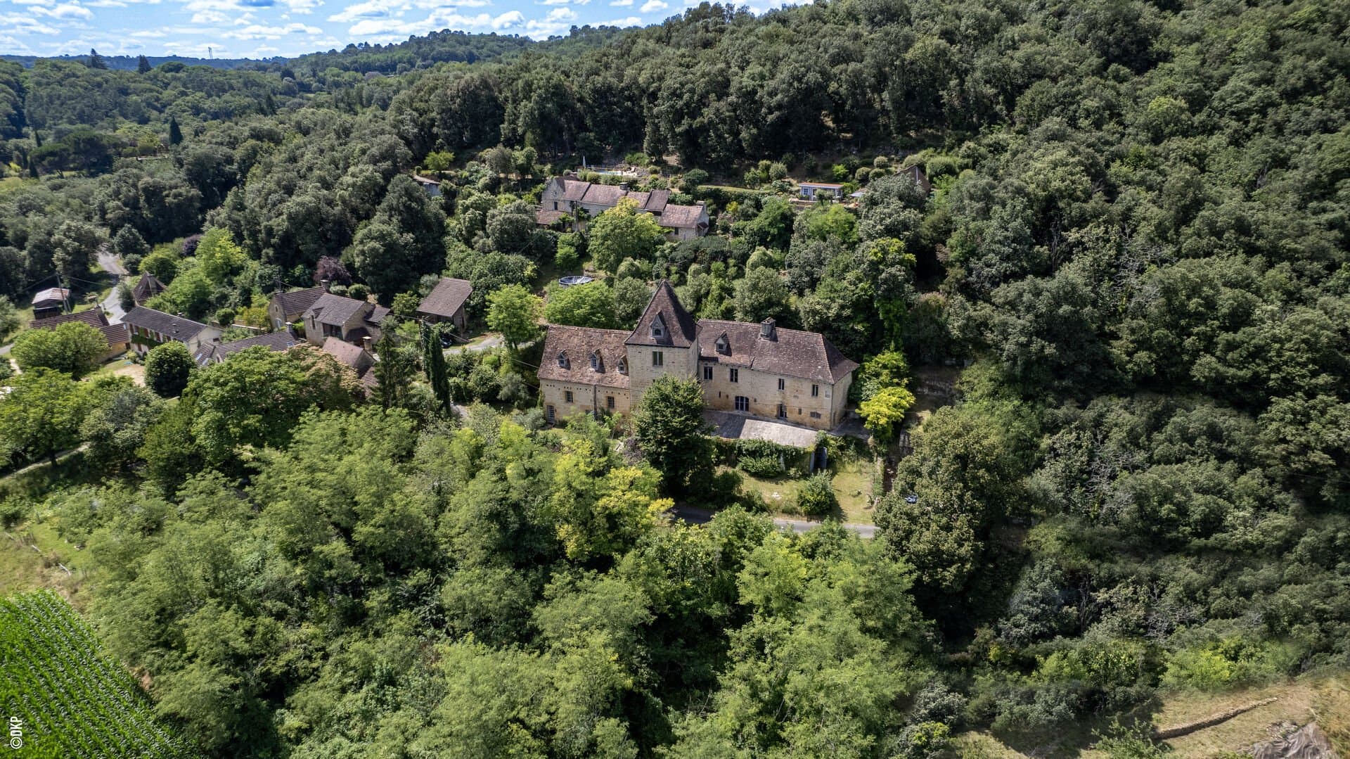 15 Minutes From Sarlat 13th Century Château To Renovate 4