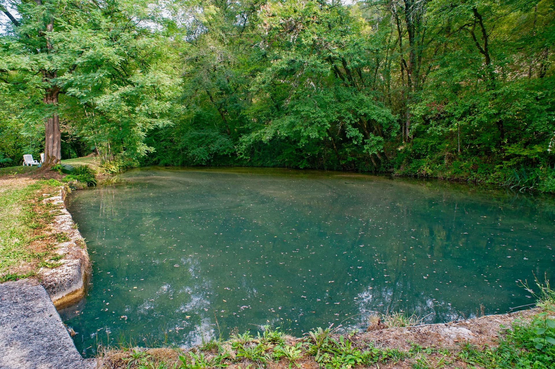 1564 Magnificent Manor With Its Pond And Wonderful Waterfall, Bread Oven, Two Lovely Barns, On Alm 5