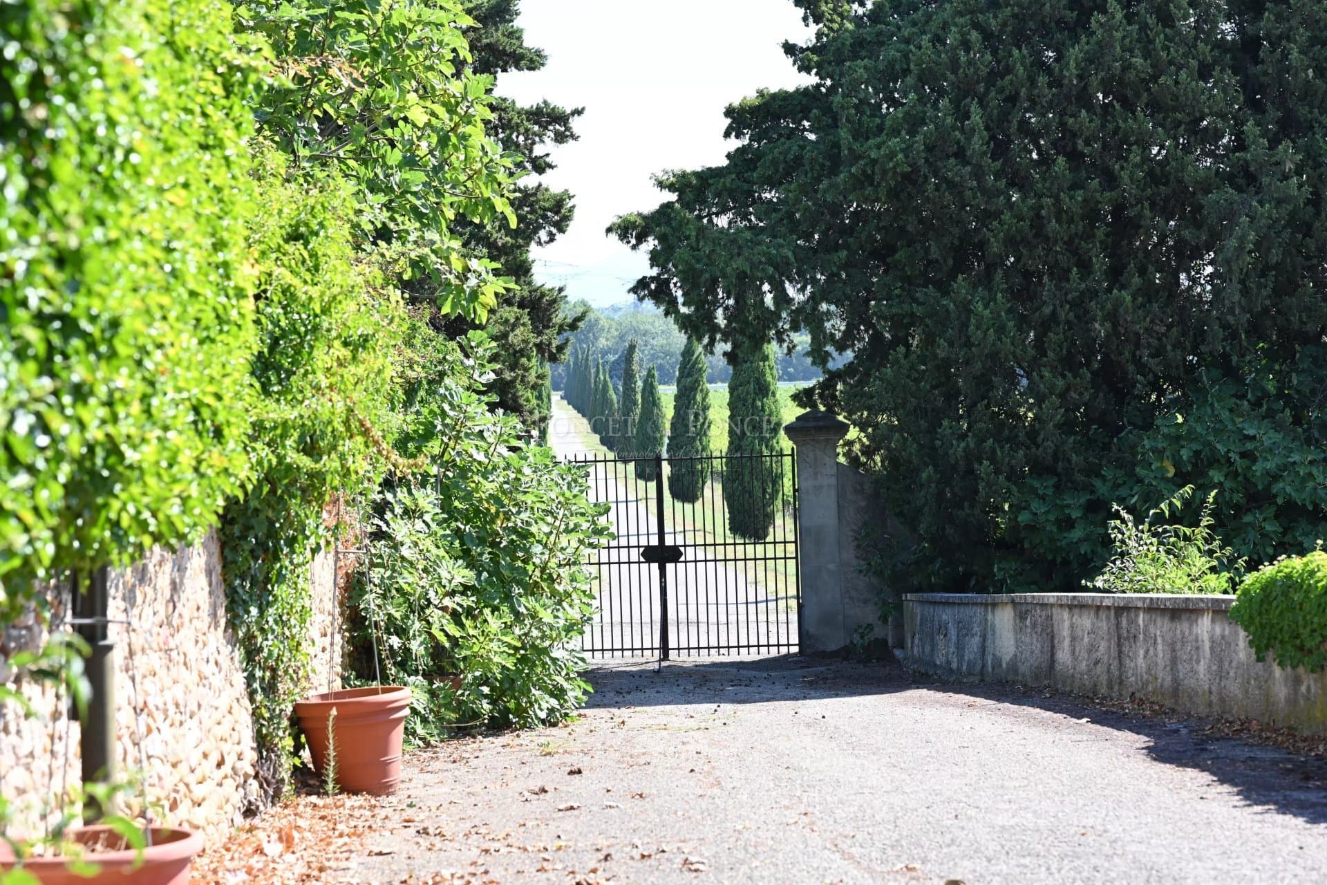 !6th Century Chateau With Wine Domaine