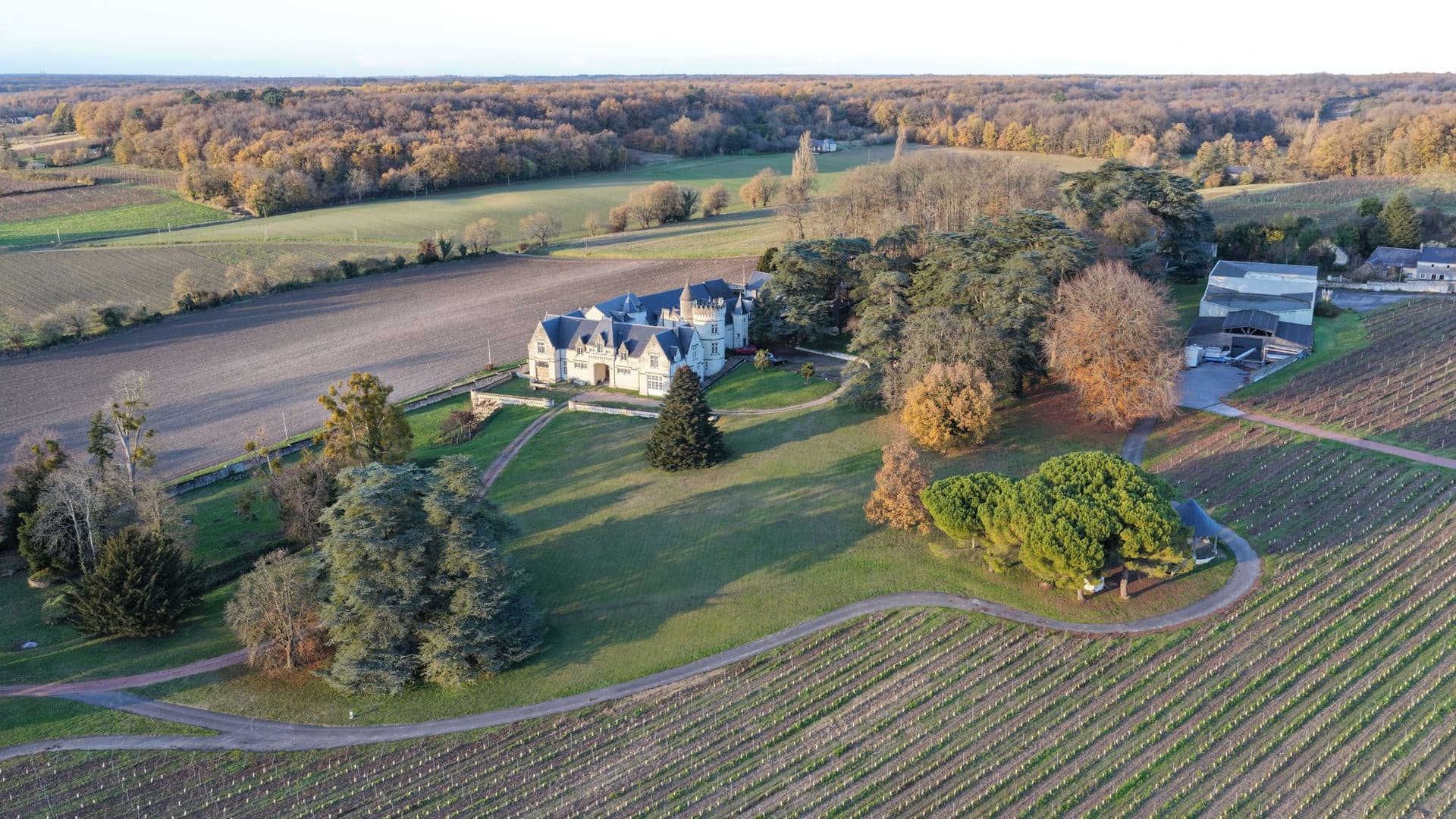 Château With Vineyard – Loire Valley – Aoc Saumur – 19 Ha 2