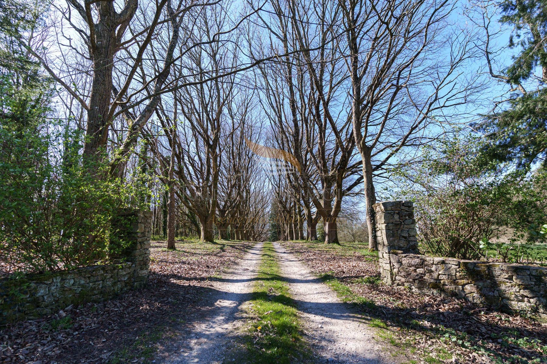 Small Manor With Beautiful Outbuildings In The Heart Of A Countryside Park