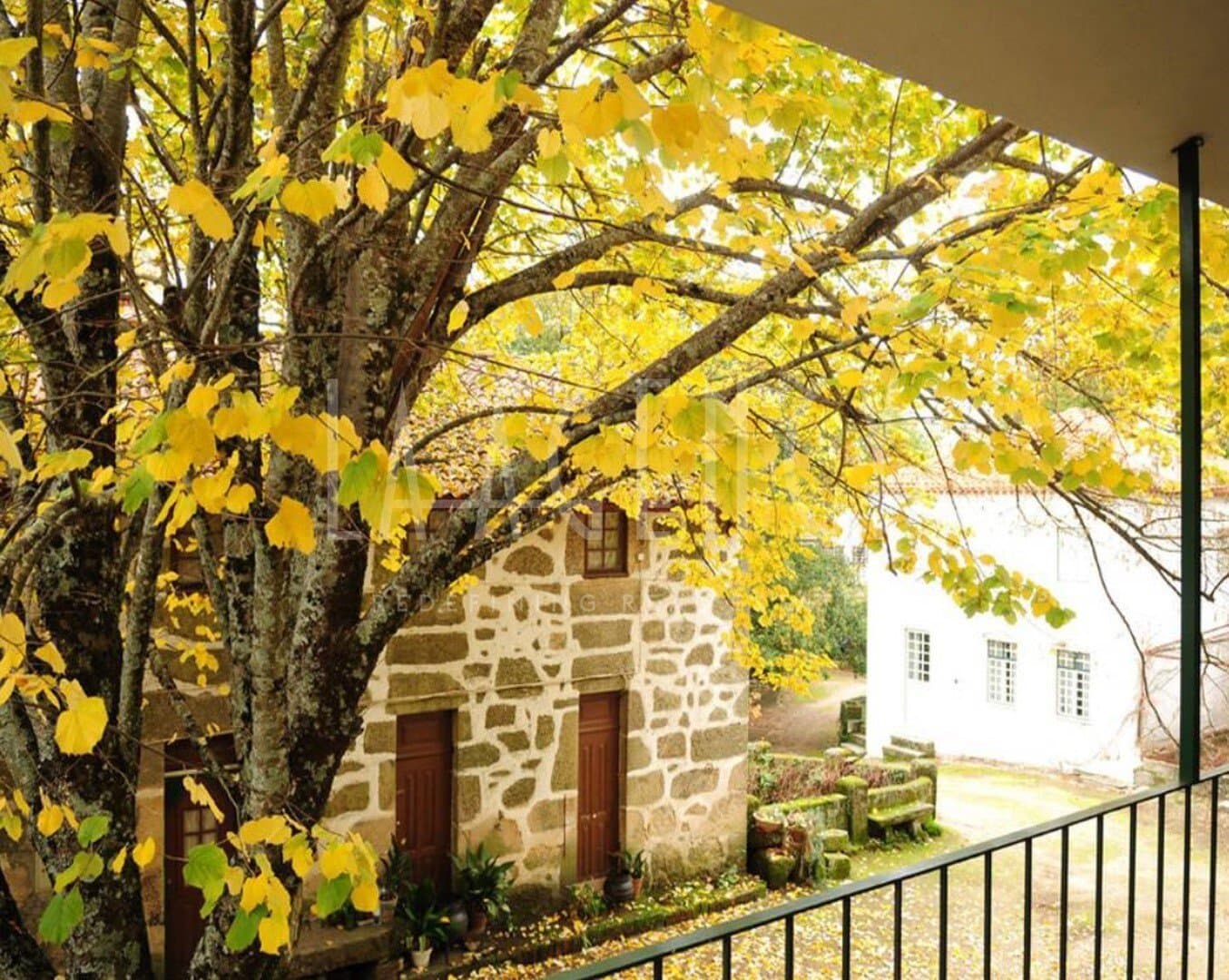 Nineteenth Century Property 3