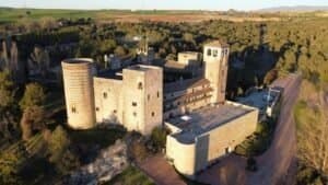 Castilnovo, Authentic Medieval Castle Complex Just One Hour From Madrid For Sale 2