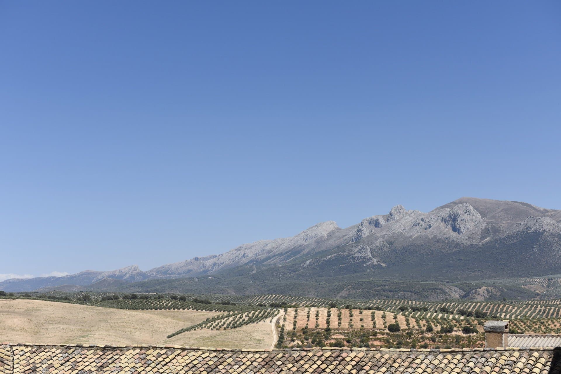 Luxury Hacienda For Sale Andalucia 4
