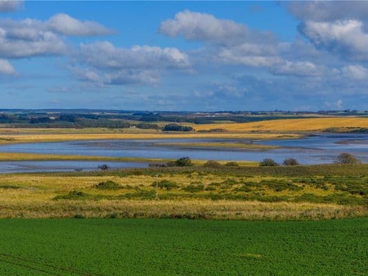 £130k Newburgh, Scotland. Castle Restoration Project for Sale 5
